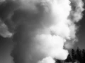 23 landscape yellowstone in black and white