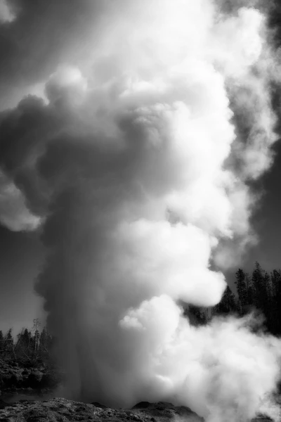23 landscape yellowstone in black and white