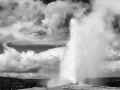25 landscape yellowstone in black and white