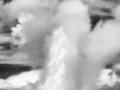 26 landscape yellowstone in black and white
