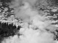29 landscape yellowstone in black and white