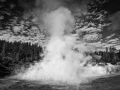 30 landscape yellowstone in black and white