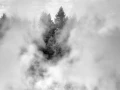 31 landscape yellowstone in black and white