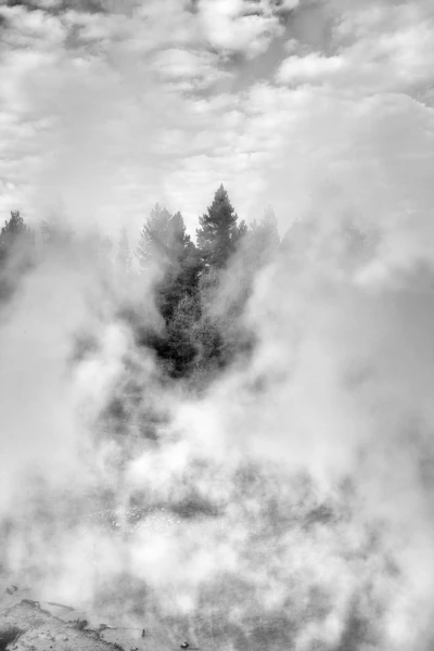 31 landscape yellowstone in black and white