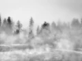 33 landscape yellowstone in black and white