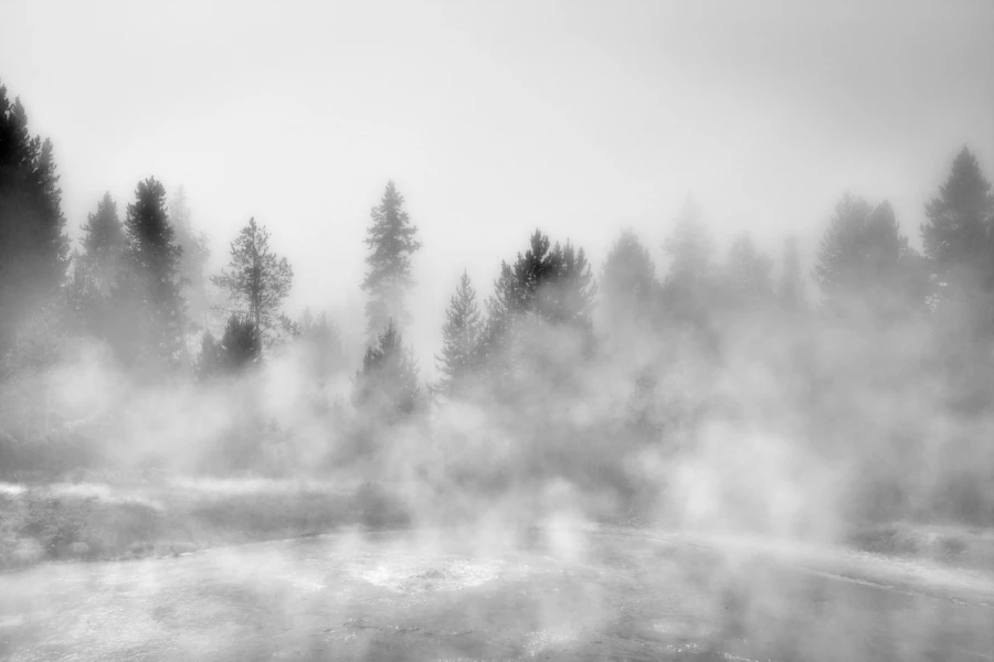 33 landscape yellowstone in black and white