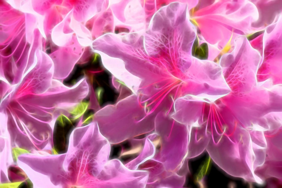05 tulips azaleas in color