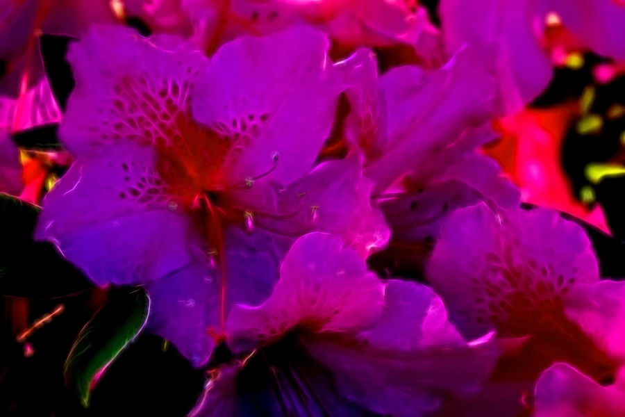 07 tulips azaleas in color