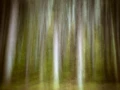01 underwood highlands scotland artistic blur
