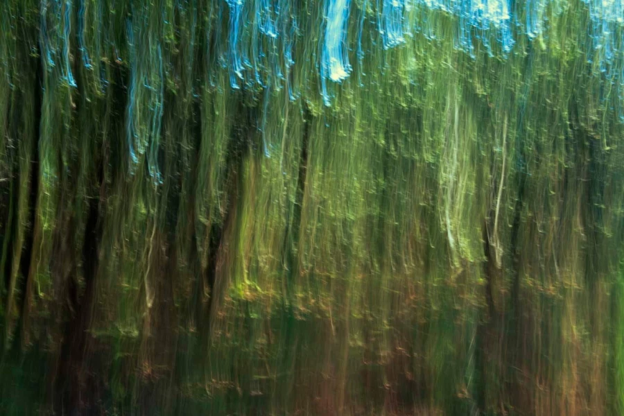 08 underwood charente maritime artistic blur