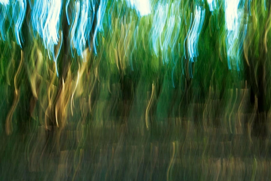 10 underwood charente maritime artistic blur