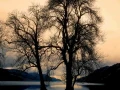 05 mysteries of loch ness scotland