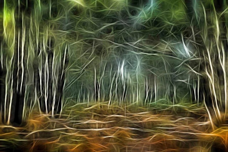 06 trees underwoods in fusion style