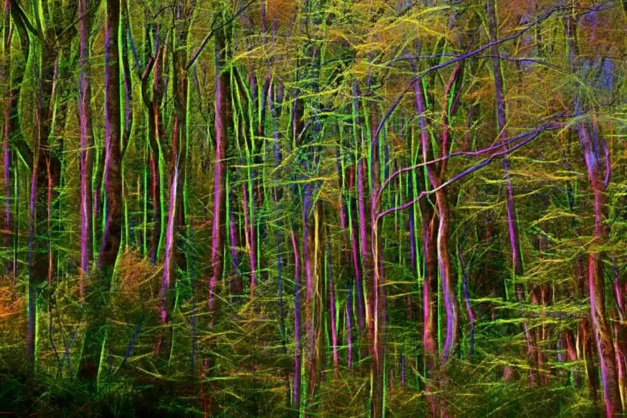 09 underwood smoky mountains fusion style