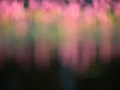10 conceptual vision amar guillen