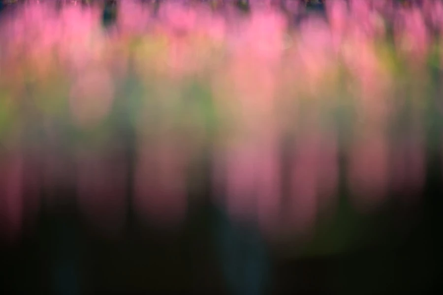 10 conceptual vision amar guillen