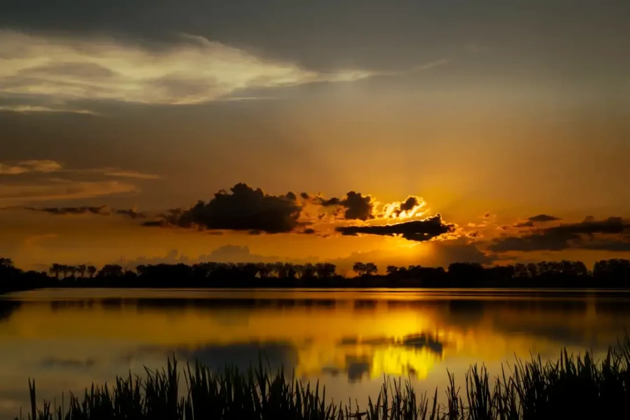 006 paysage de la dombes etang couleur