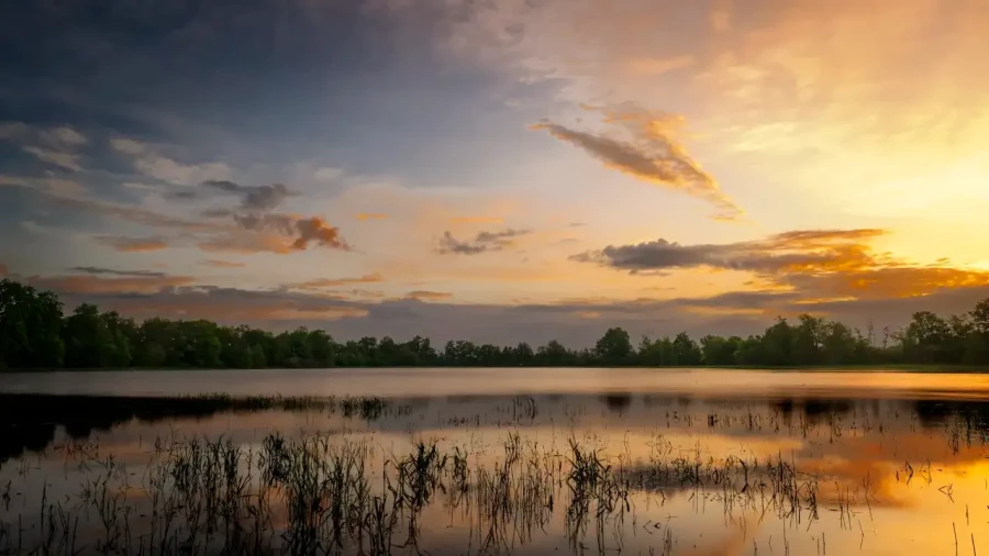 009 paysage de la dombes etang couleur