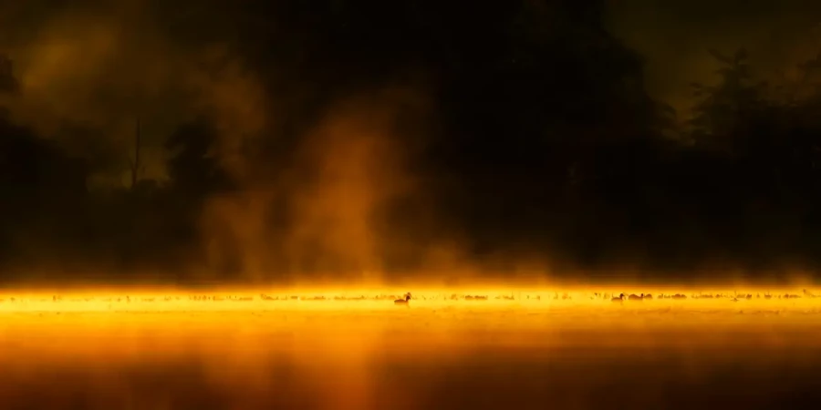 002 landscape the dombes pond color