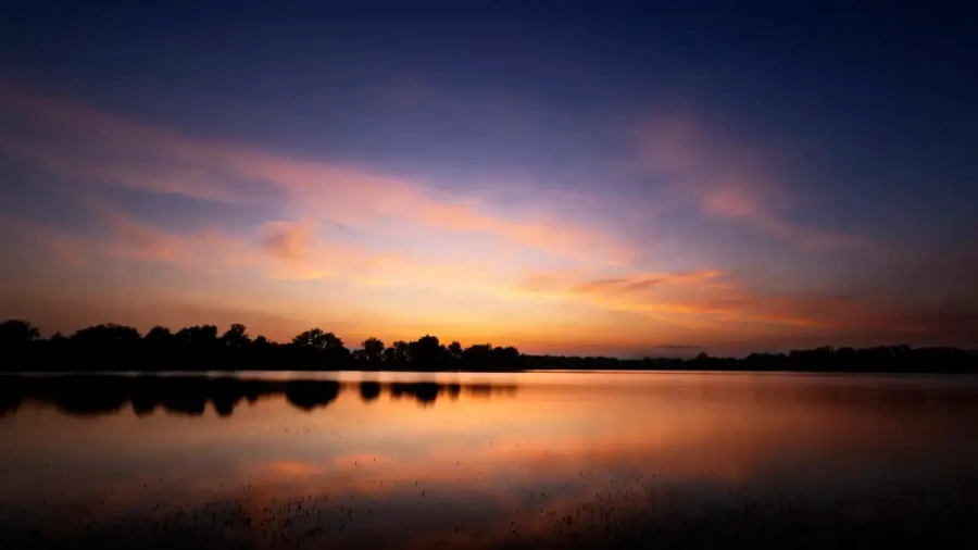 005 landscape the dombes pond color