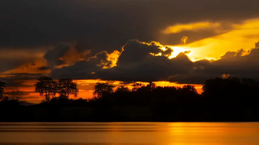 007 landscape the dombes pond color