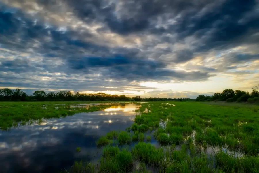 011 landscape the dombes pond color