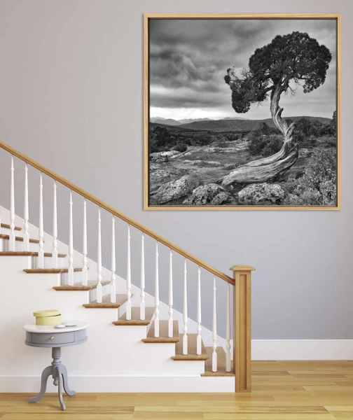 Exemple d'un tirage d'art accroché sur un mur et créé par Ama