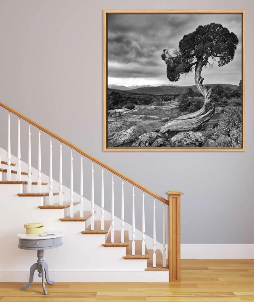 Example of a fine art print hanging on a wall and created by Ama