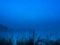 01 paysage zone humide haute saintonge france