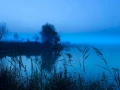 03 paysage zone humide haute saintonge france