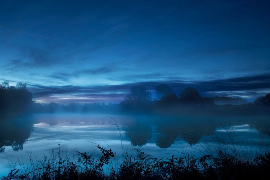 04 paysage zone humide haute saintonge france