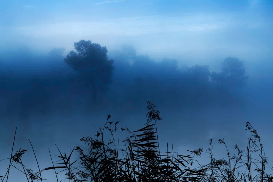05 paysage zone humide haute saintonge france