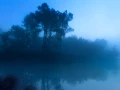 06 paysage zone humide haute saintonge france