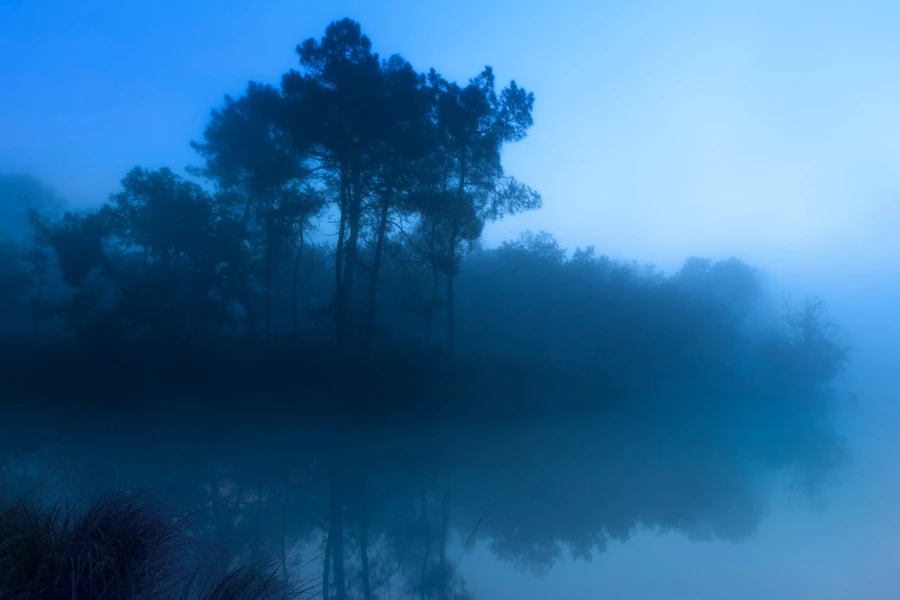 06 paysage zone humide haute saintonge france