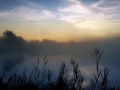 10 paysage zone humide haute saintonge france