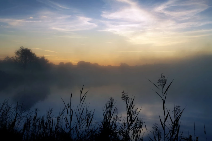 10 paysage zone humide haute saintonge france