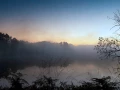 11 paysage zone humide haute saintonge france