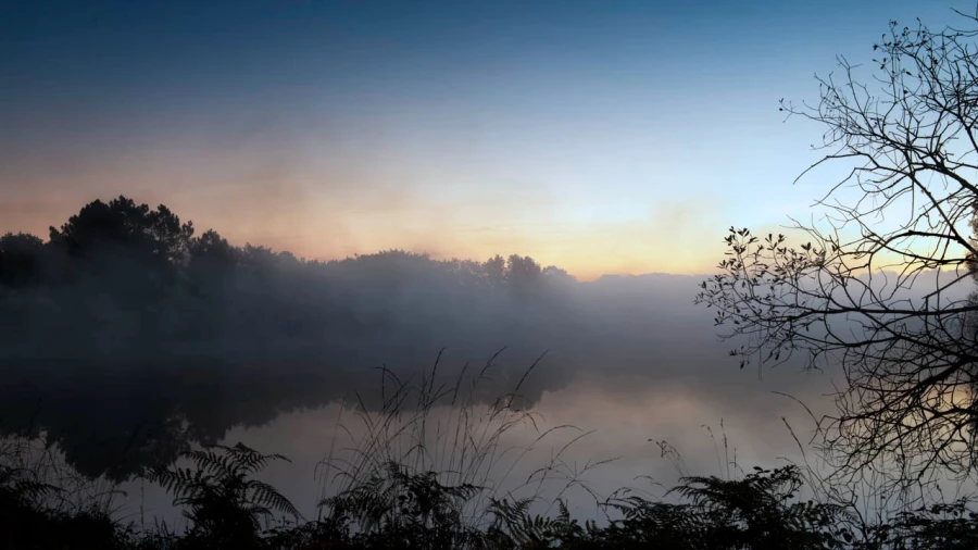 11 paysage zone humide haute saintonge france