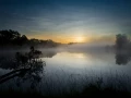 12 paysage zone humide haute saintonge france