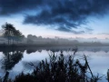 13 paysage zone humide haute saintonge france