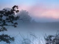 14 paysage zone humide haute saintonge france