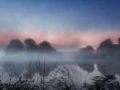 15 paysage zone humide haute saintonge france