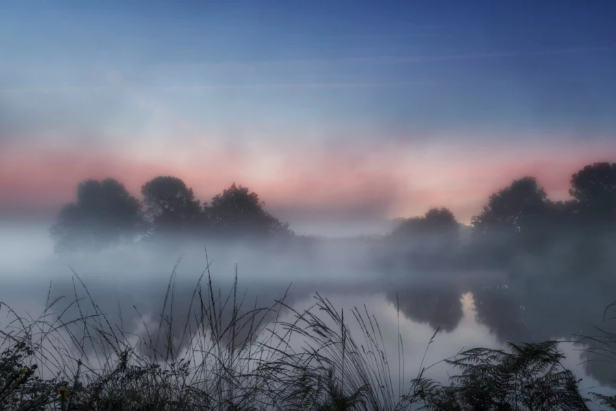 15 paysage zone humide haute saintonge france