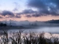 16 paysage zone humide haute saintonge france