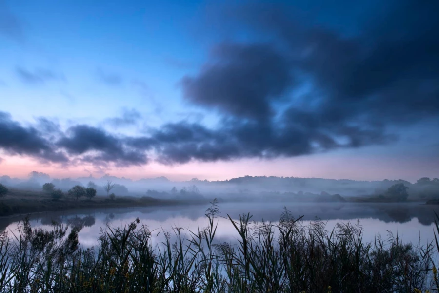 17 paysage zone humide haute saintonge france