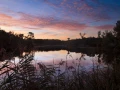 19 paysage zone humide haute saintonge france