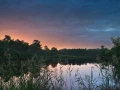 20 paysage zone humide haute saintonge france