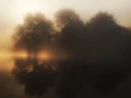 24 paysage zone humide haute saintonge france