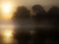 25 paysage zone humide haute saintonge france