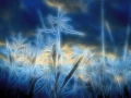 02 bords d etangs en fusion